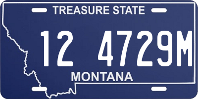 MT license plate 124729M
