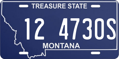 MT license plate 124730S