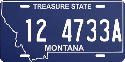 MT license plate 124733A