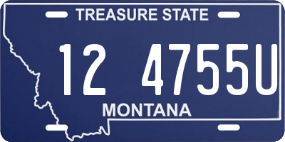 MT license plate 124755U