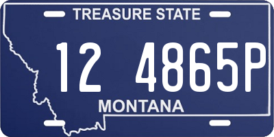 MT license plate 124865P