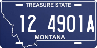 MT license plate 124901A