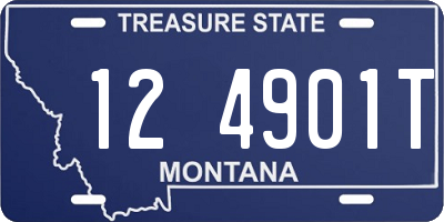 MT license plate 124901T