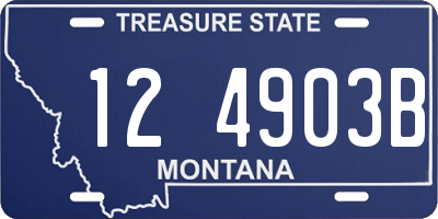 MT license plate 124903B