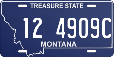 MT license plate 124909C