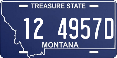MT license plate 124957D