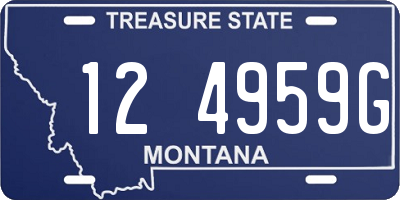 MT license plate 124959G