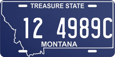 MT license plate 124989C