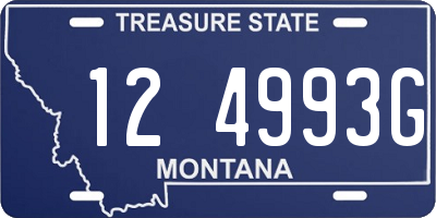 MT license plate 124993G