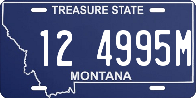 MT license plate 124995M
