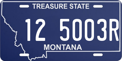 MT license plate 125003R
