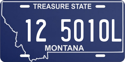 MT license plate 125010L