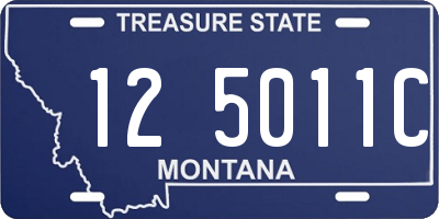 MT license plate 125011C