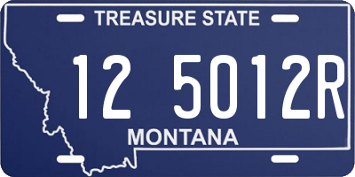 MT license plate 125012R