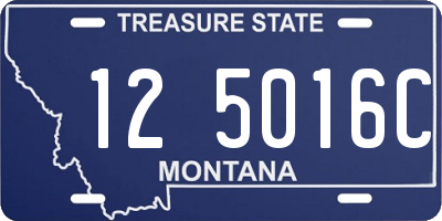 MT license plate 125016C