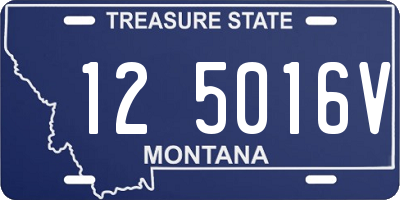 MT license plate 125016V
