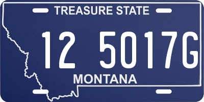 MT license plate 125017G