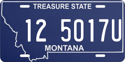 MT license plate 125017U