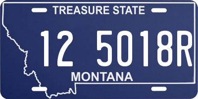 MT license plate 125018R