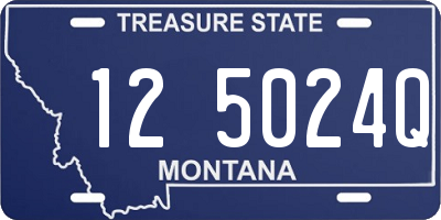 MT license plate 125024Q