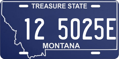 MT license plate 125025E