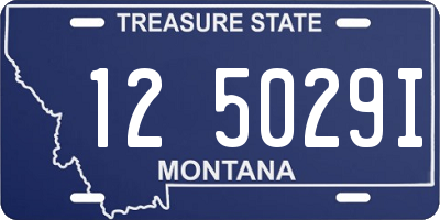 MT license plate 125029I