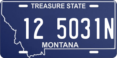 MT license plate 125031N