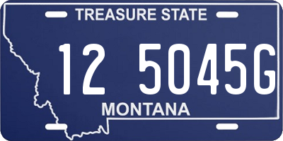 MT license plate 125045G