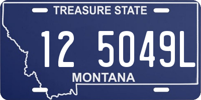 MT license plate 125049L