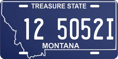MT license plate 125052I