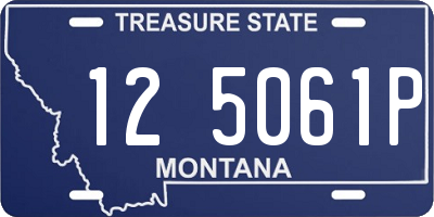 MT license plate 125061P