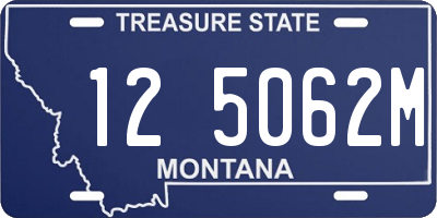 MT license plate 125062M