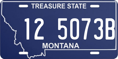 MT license plate 125073B