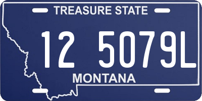 MT license plate 125079L