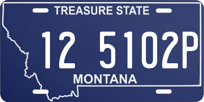 MT license plate 125102P
