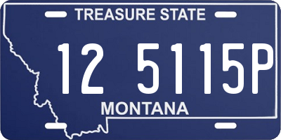 MT license plate 125115P