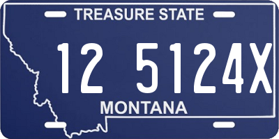 MT license plate 125124X