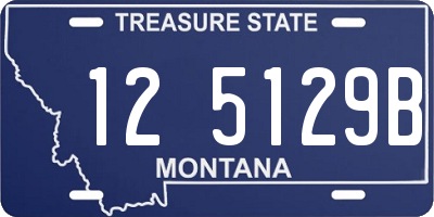 MT license plate 125129B
