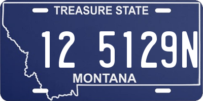 MT license plate 125129N