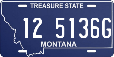 MT license plate 125136G