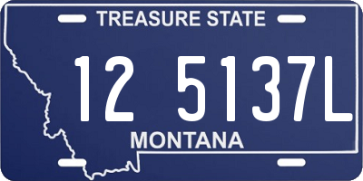 MT license plate 125137L