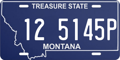 MT license plate 125145P