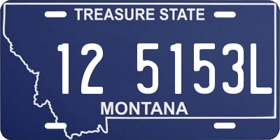 MT license plate 125153L