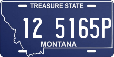 MT license plate 125165P