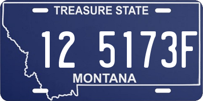 MT license plate 125173F