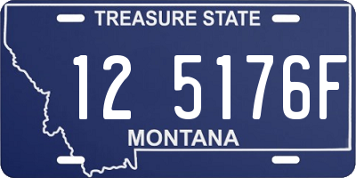 MT license plate 125176F