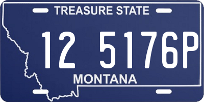 MT license plate 125176P