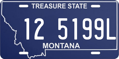 MT license plate 125199L