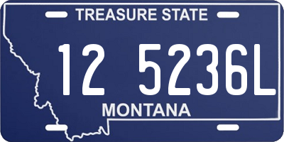 MT license plate 125236L