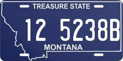 MT license plate 125238B